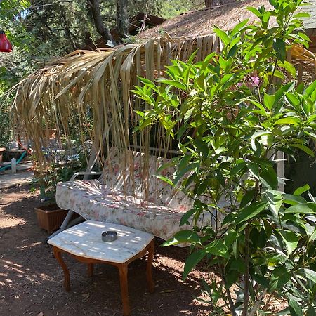 Canario Bungalows Çıralı Exterior foto