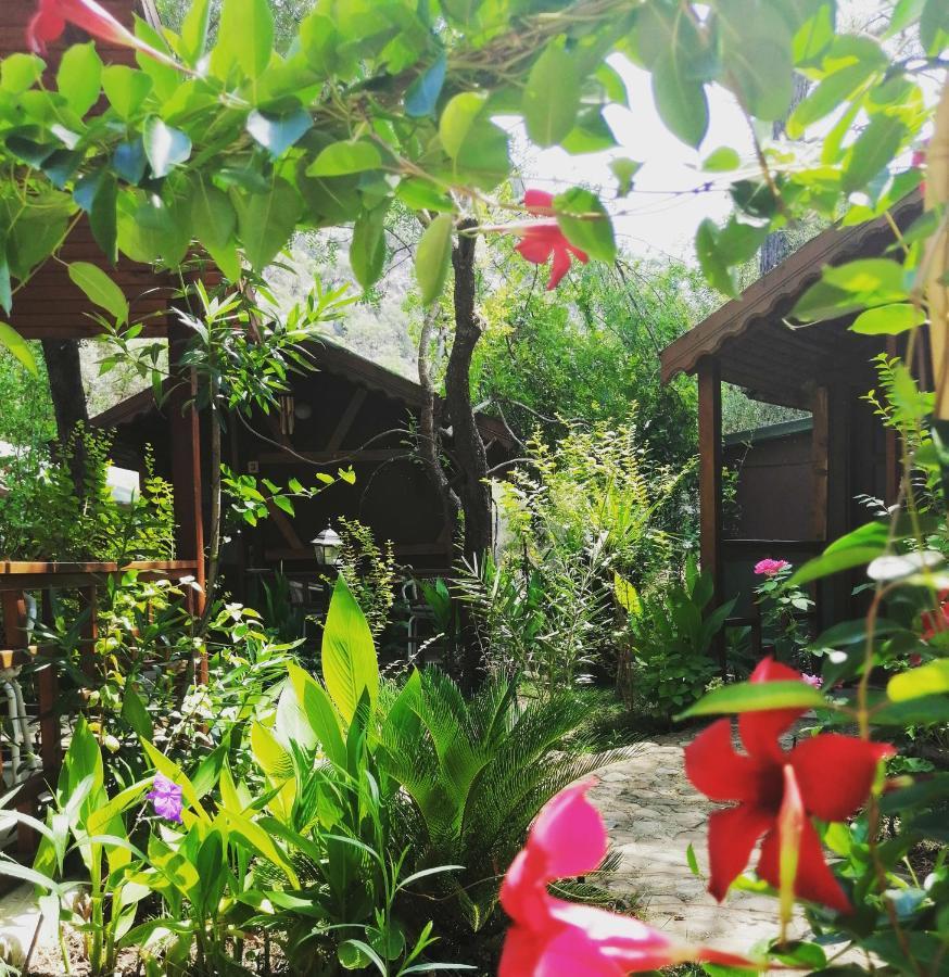 Canario Bungalows Çıralı Exterior foto