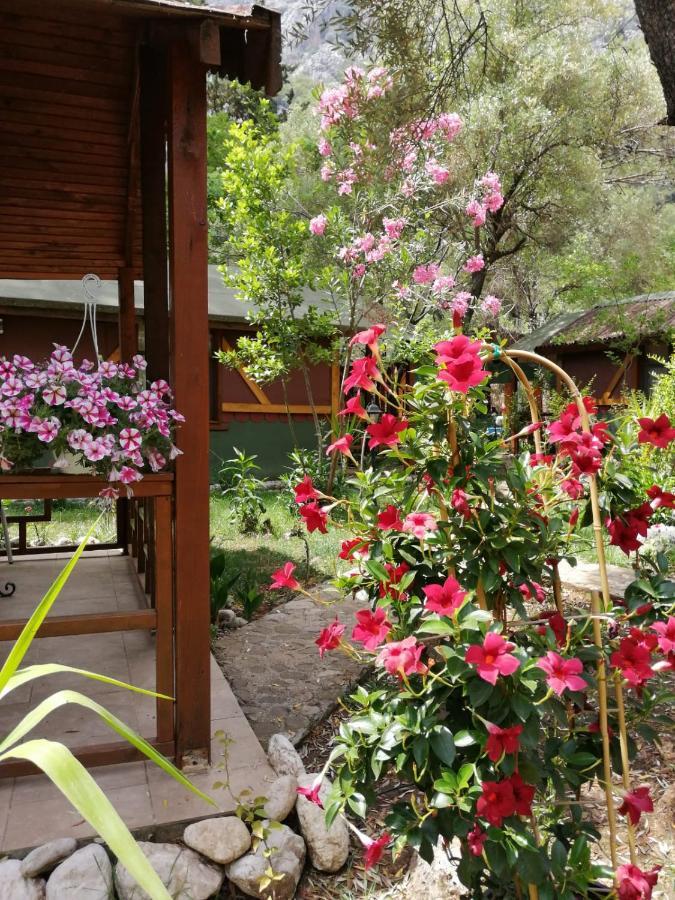Canario Bungalows Çıralı Exterior foto