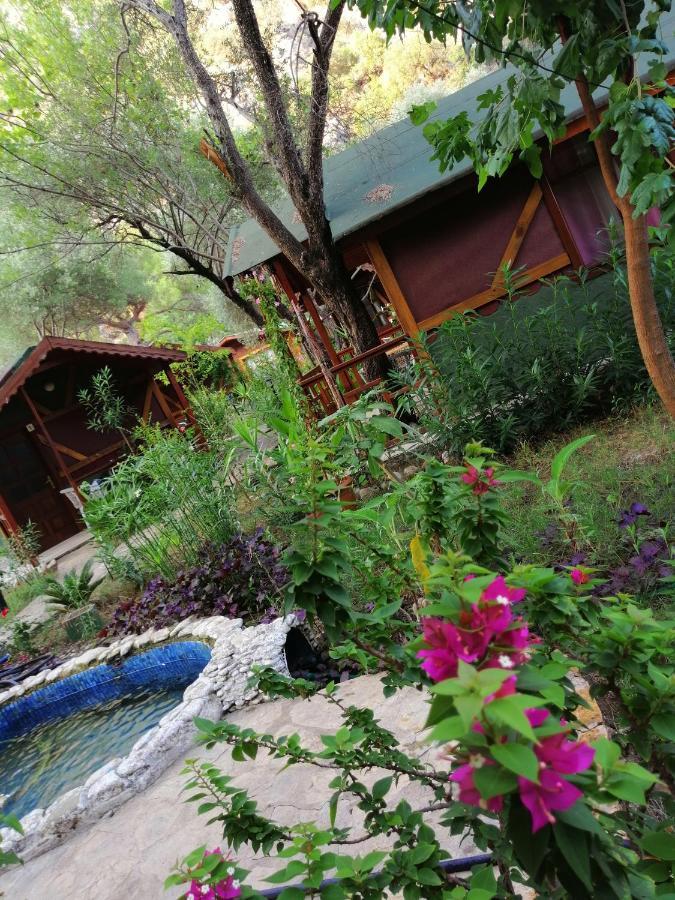 Canario Bungalows Çıralı Exterior foto