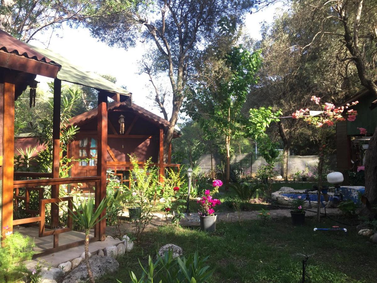 Canario Bungalows Çıralı Exterior foto