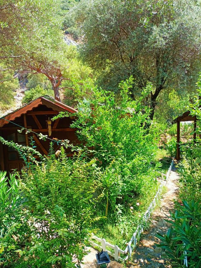 Canario Bungalows Çıralı Exterior foto