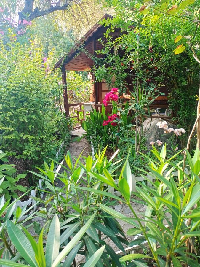 Canario Bungalows Çıralı Exterior foto