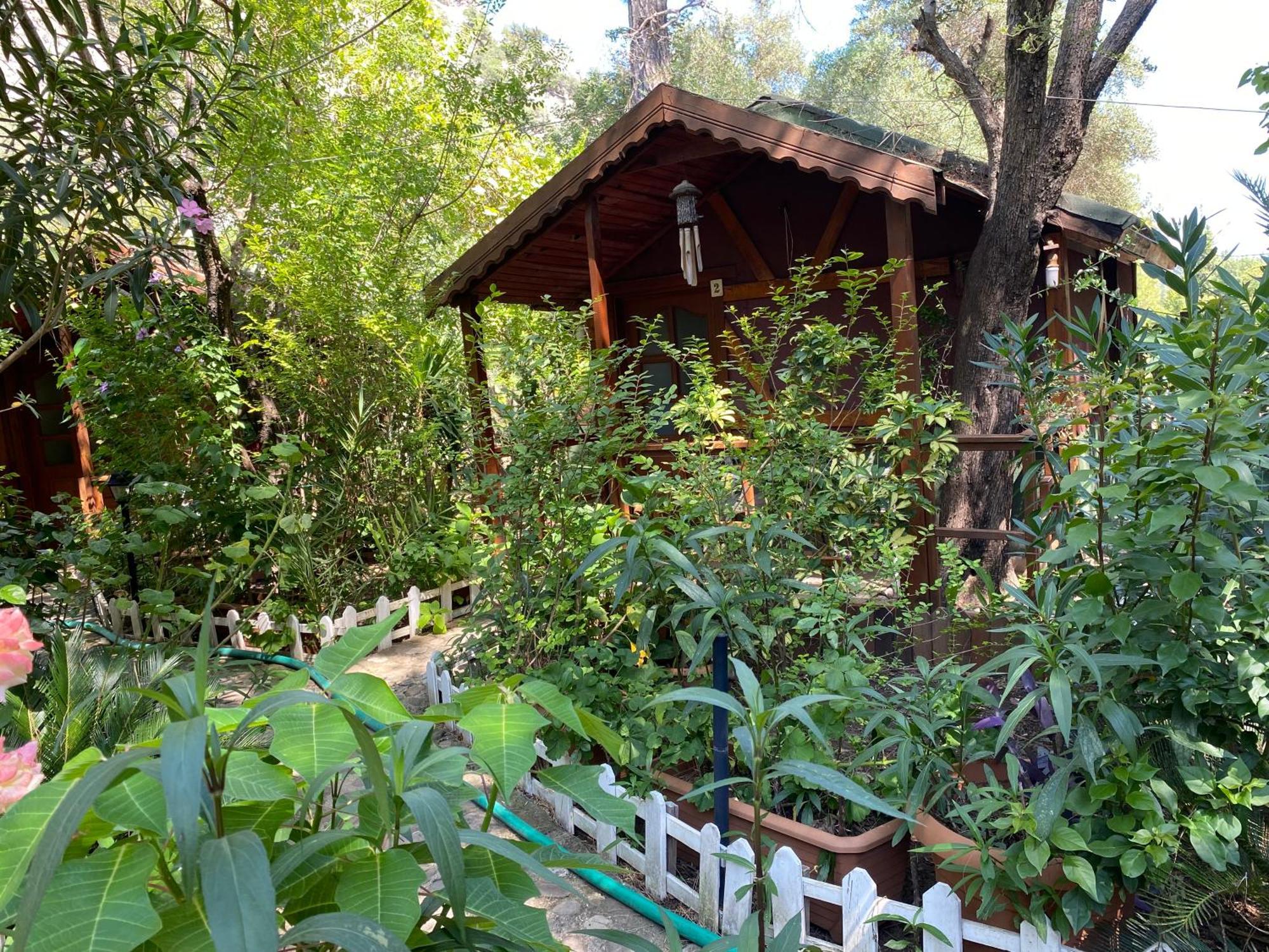 Canario Bungalows Çıralı Exterior foto