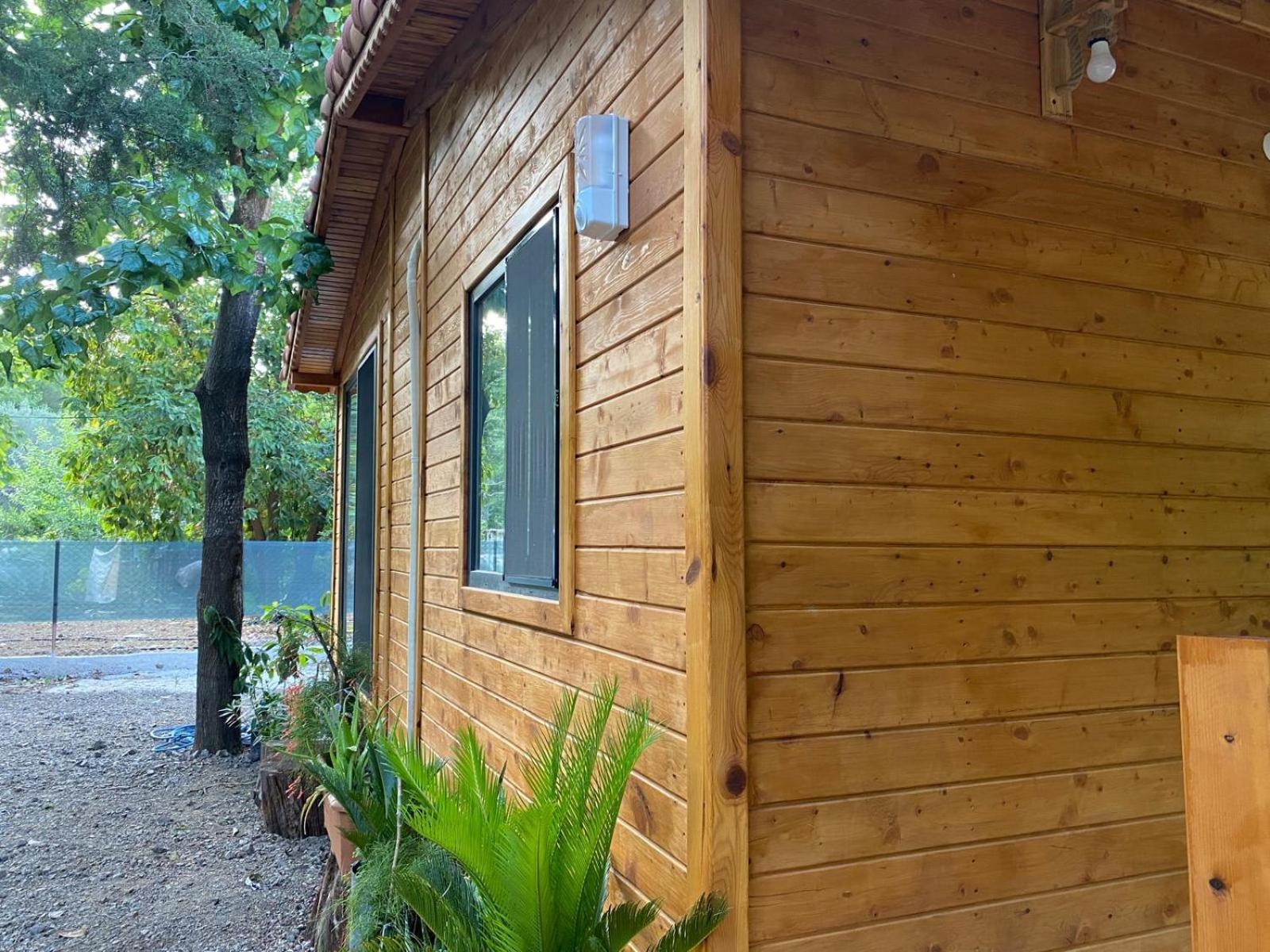 Canario Bungalows Çıralı Exterior foto