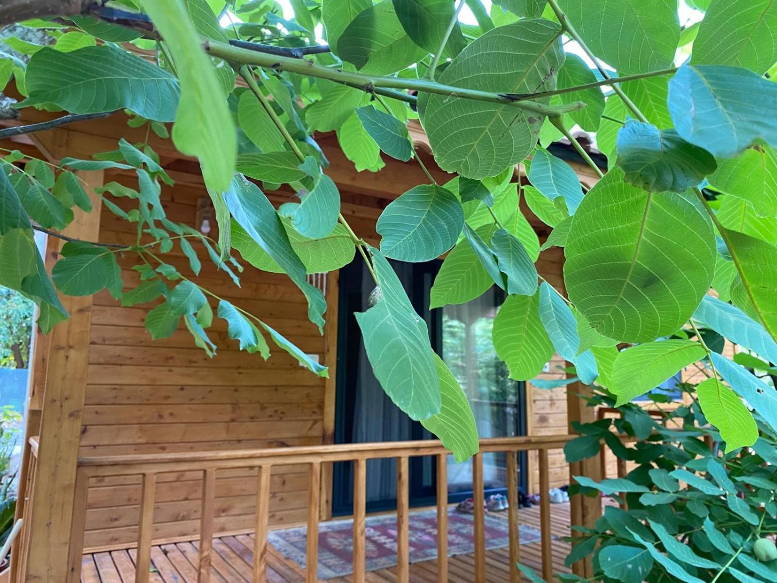 Canario Bungalows Çıralı Exterior foto